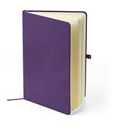 Recyceltes Notizbuch A5 Steilga