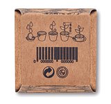 Pflanz-Set Minze Itarja