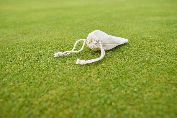 Golf Tees aus Holz Orsichast