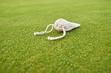 Golf Tees aus Holz Orsichast