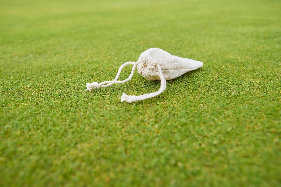 Golf Tees aus Holz Orsichast