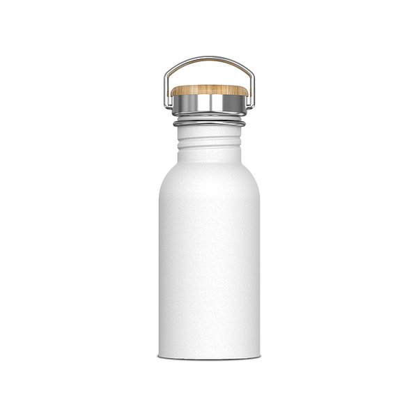 Wasserflasche Ashton 500ml Giuseht