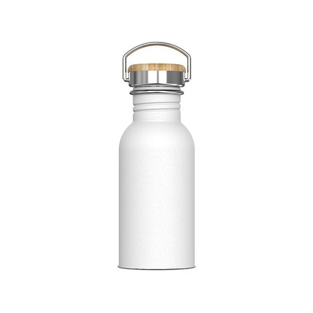Wasserflasche Ashton 500ml Giuseht