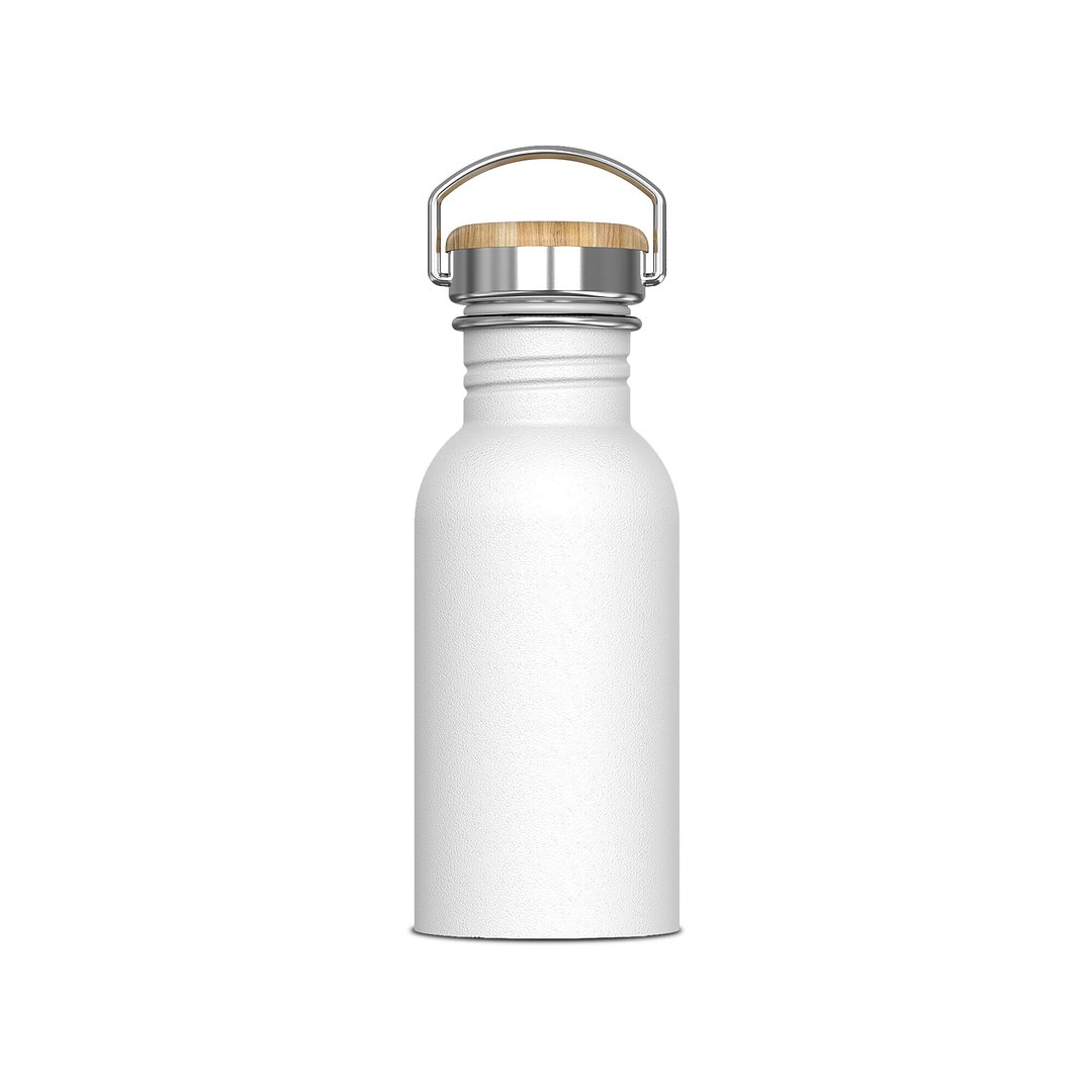 Wasserflasche Ashton 500ml Giuseht