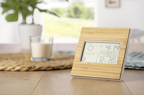Wetterstation Vrenicha | Bambus