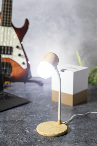 Multifunktion Lampe Idars