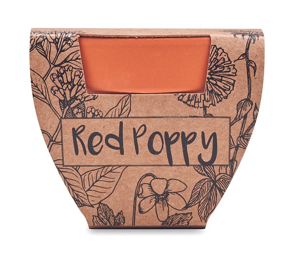 Terracotta-Topf Mohnblume Nelyll