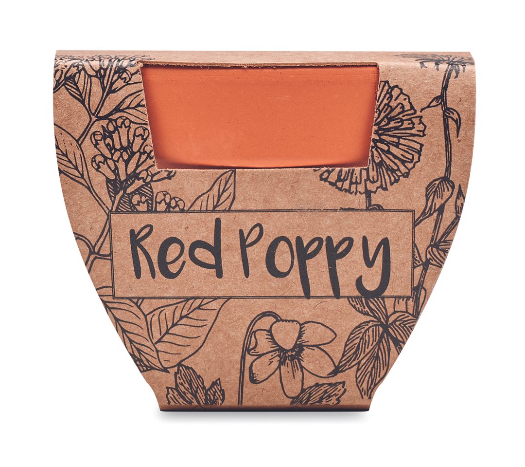 Terracotta-Topf Mohnblume Nelyll