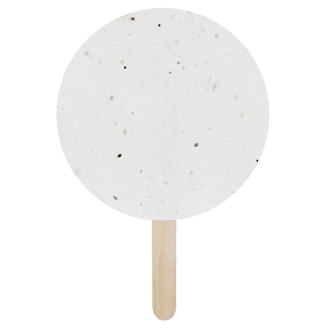 Pflanzbarer Pay-Pay Iduar