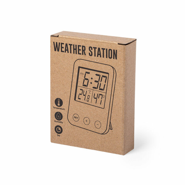 Wetterstation Idein