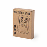 Wetterstation Idein