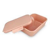 Lunchbox Tina Jonnin