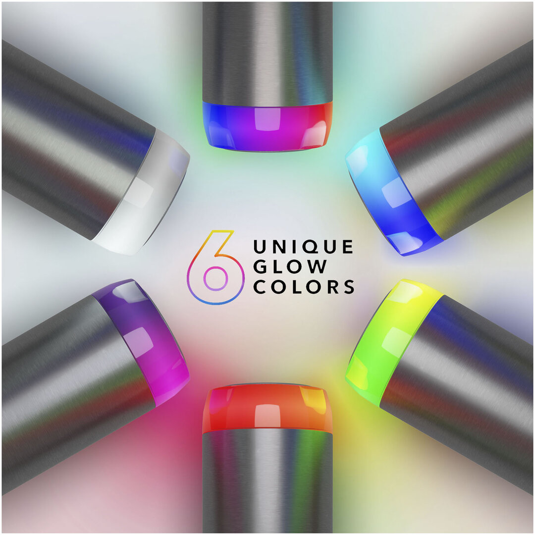 PRO 600 ml vakuumisolierte Edelstahl Wasserflasche - Lorsiccep