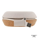 Meetair Conference Speaker Anricch