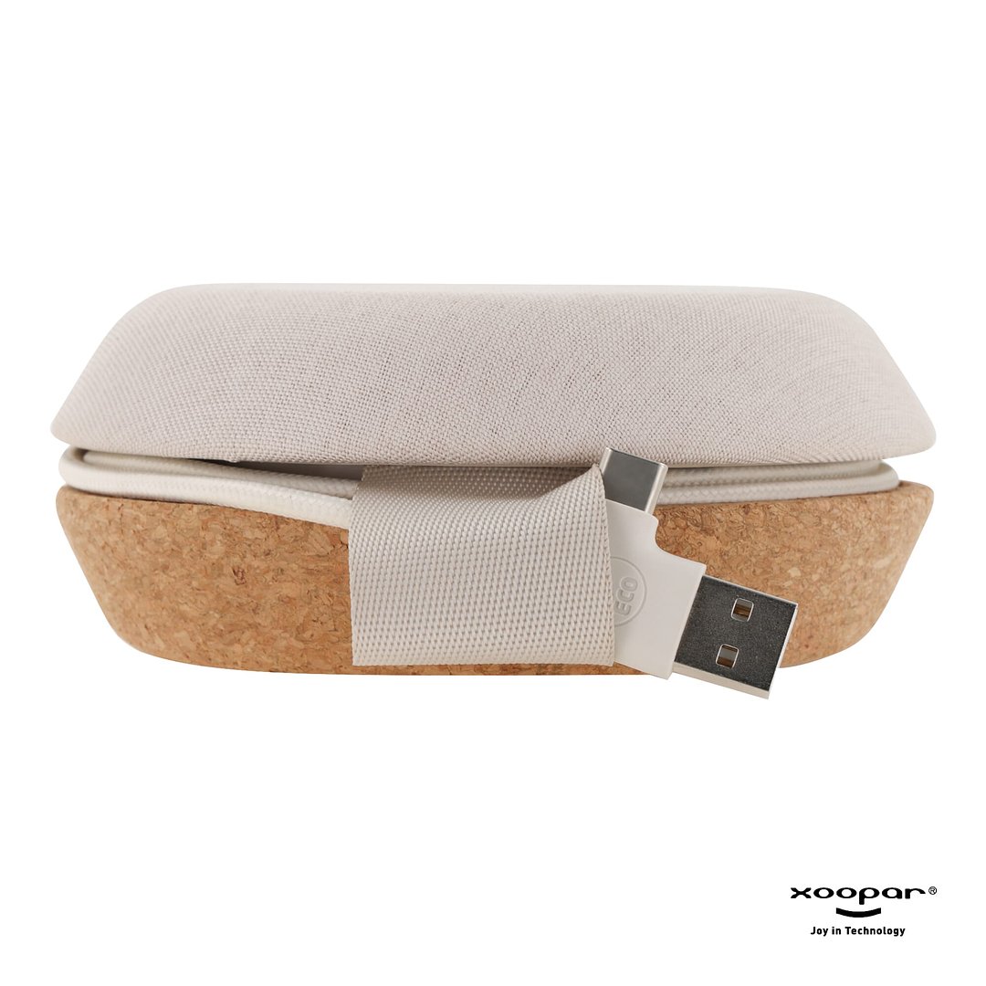 Meetair Conference Speaker Anricch