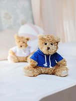 Teddybär Inathole