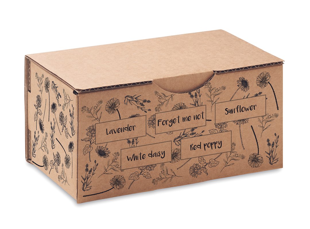 Saat-Set Sommerblumen Nelylas