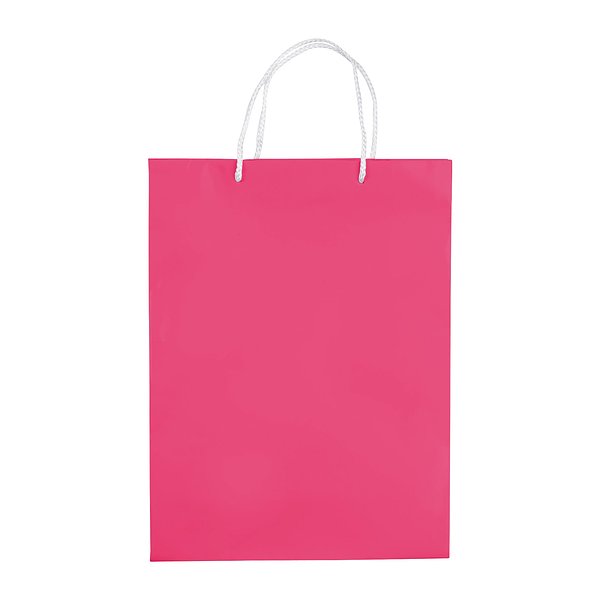 Laminierte Papiertasche, groß Utzio