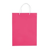 Laminierte Papiertasche, groß Utzio