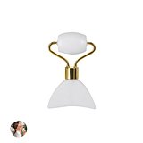 Gesichtsmassagegerät Idiax