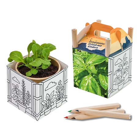 Kreative Ostersamenbox personalisierbar