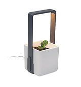 Inndor-Pflanztopf mit LED Vrenchast