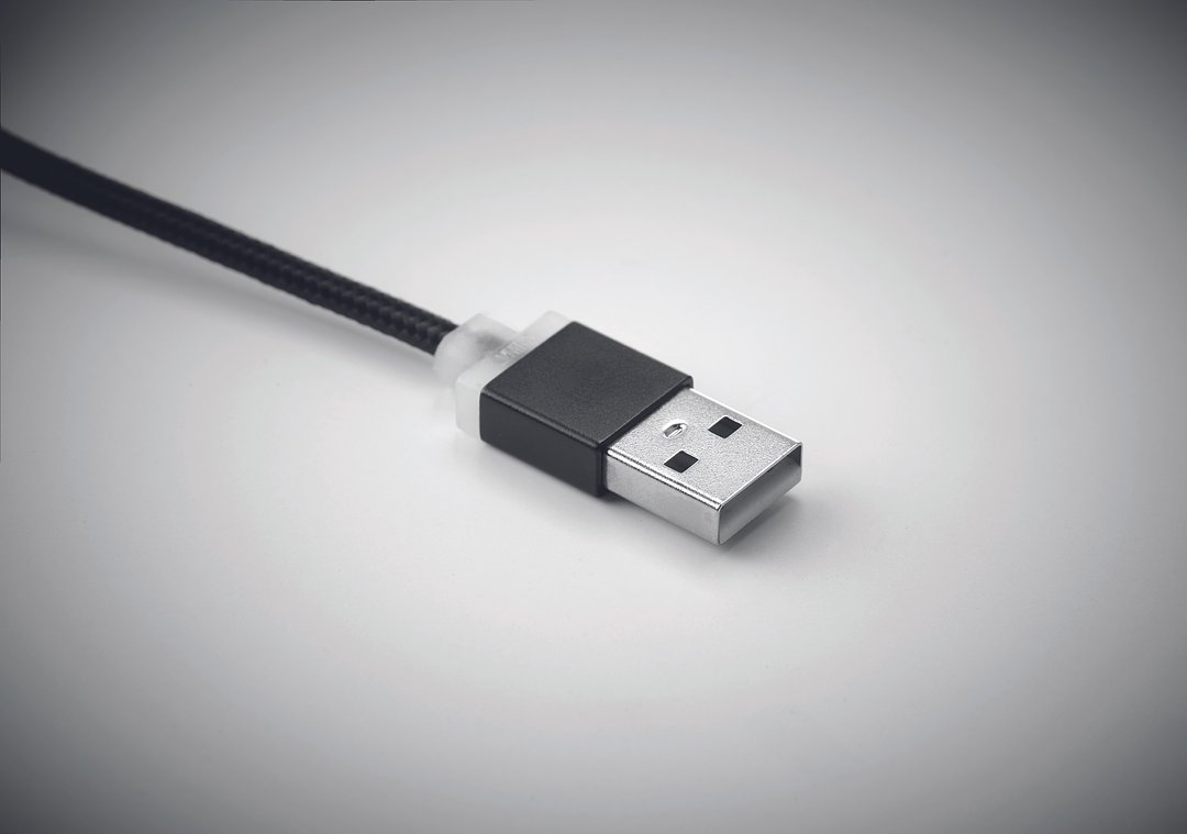 Schlüsselring mit Kabel-Set Warelvri