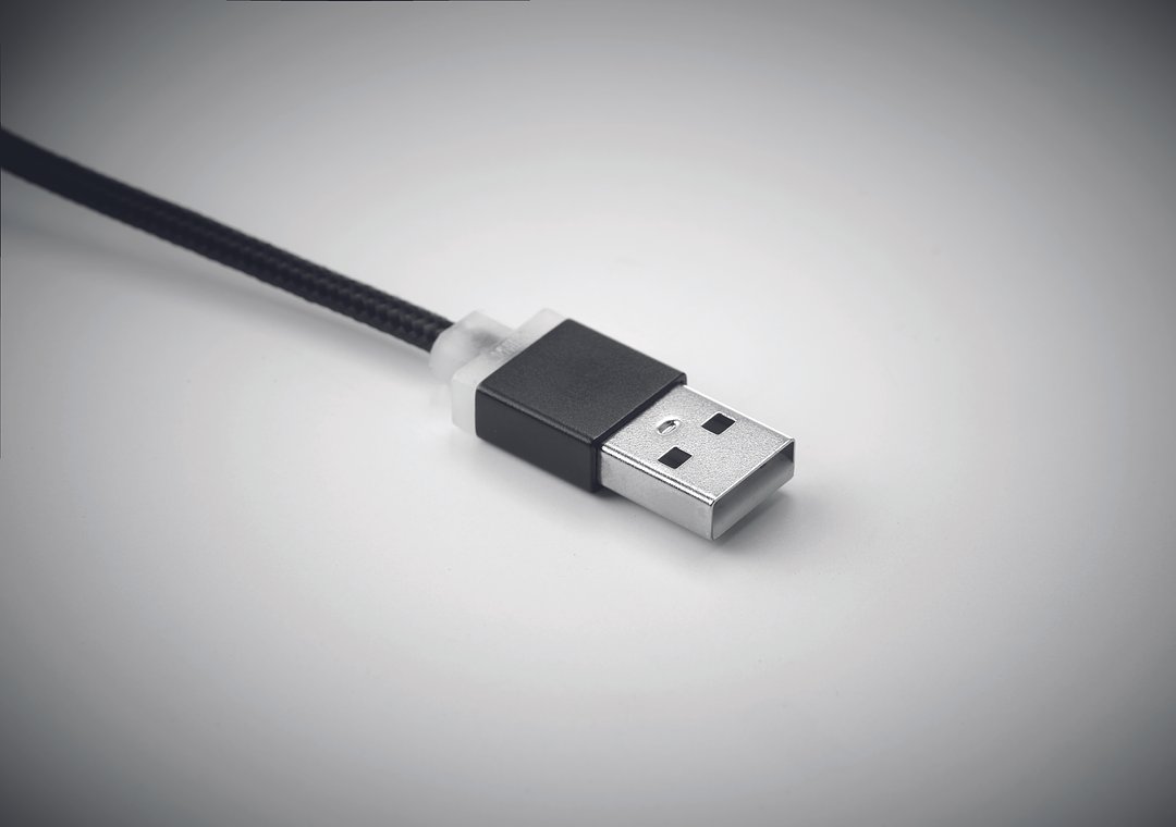 Schlüsselring mit Kabel-Set Warelvri