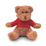 Teddybär mit Hoody Bengi