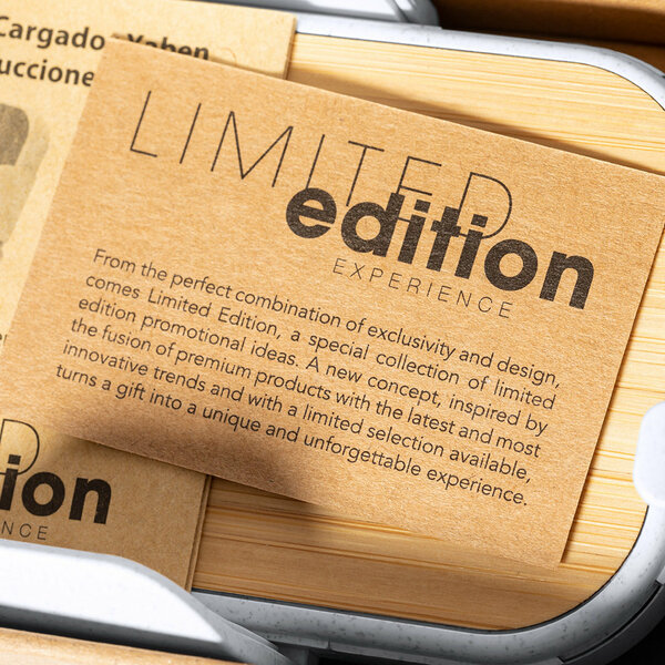 Ladegerät Halter Idben