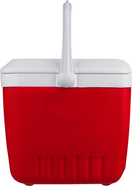 Kühlbox 13 Liter Orinan