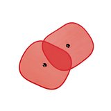 Autosonnenschutz Ident