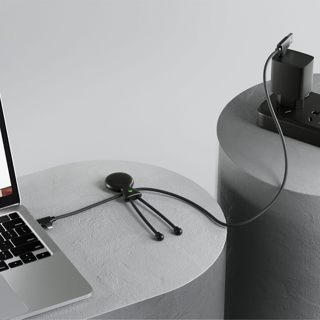 Mr. Bio Long Power Delivery Cable with data transfer Gierdich