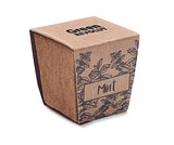 Pflanz-Set Minze Itarja