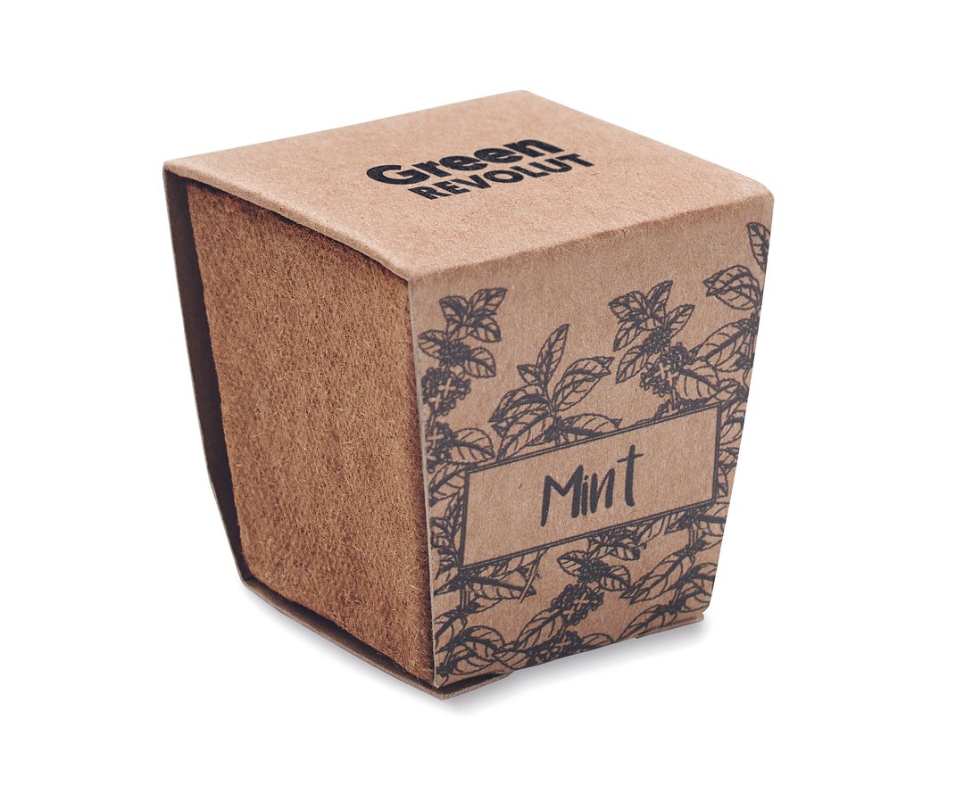 Pflanz-Set Minze Itarja