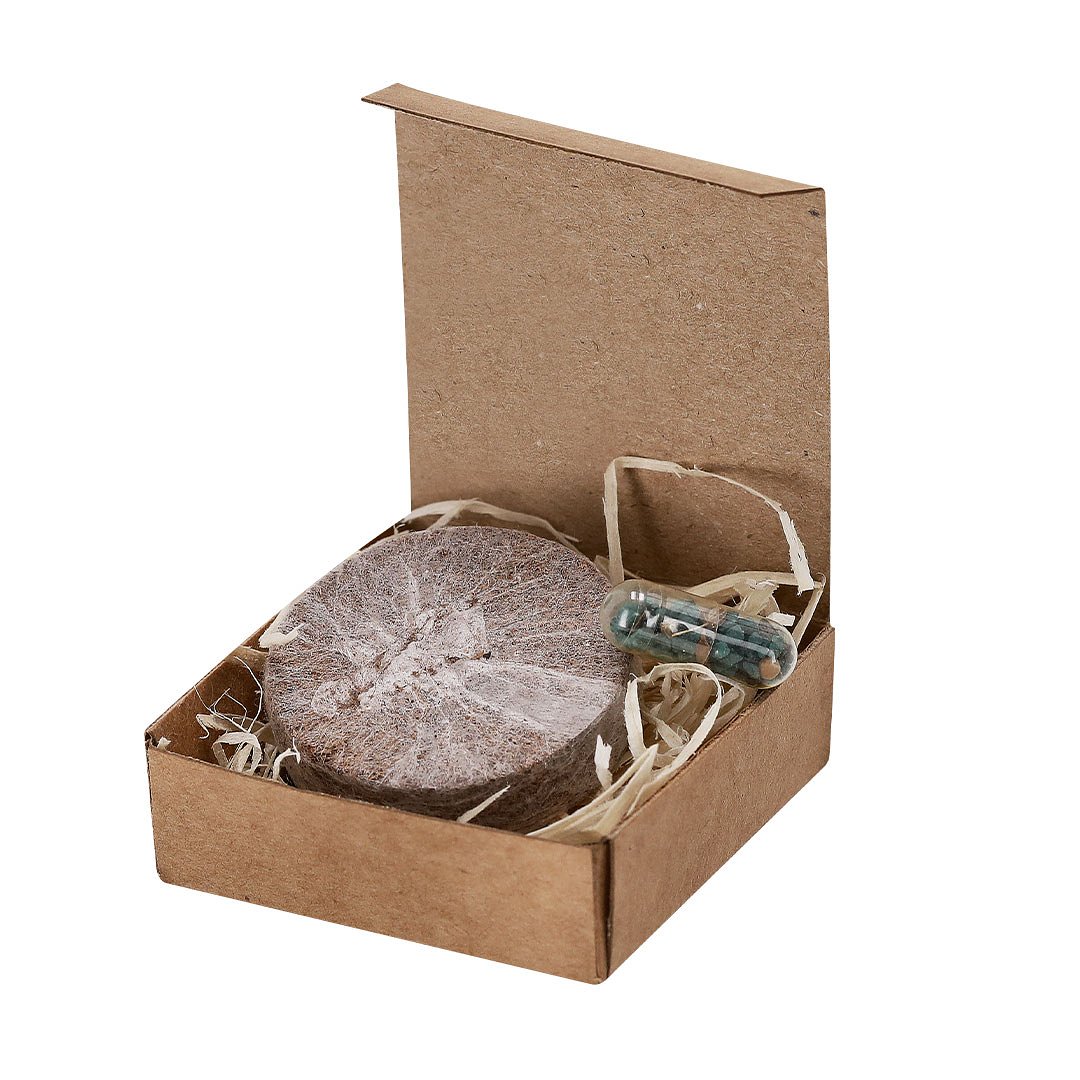 Pflanzbares Pack Idael