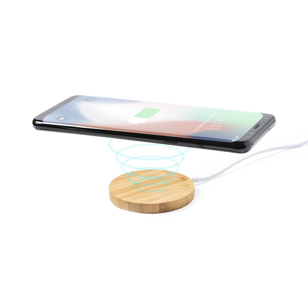 Halter Ladegerät Idopy