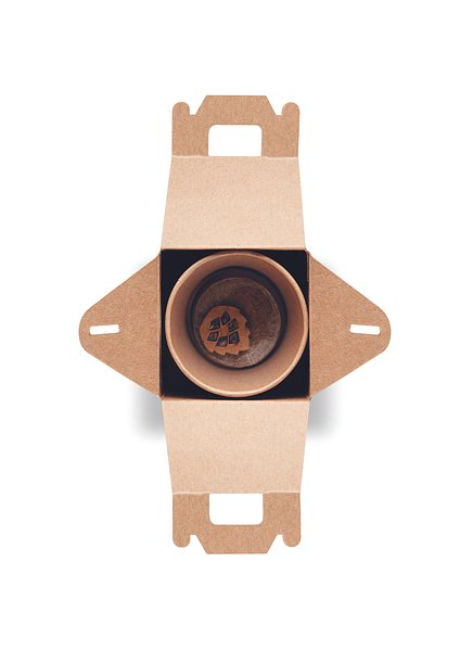 Kiefernsamen-Set Liulinatt