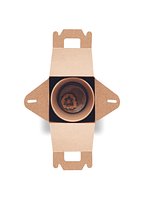 Kiefernsamen-Set Liulinatt