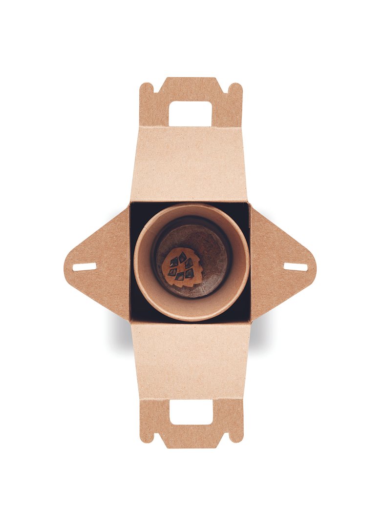 Kiefernsamen-Set Liulinatt