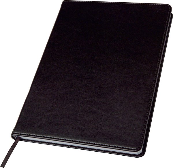 Notizbuch Corep | Recyceltes PU | A5 | Liniert