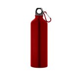 Trinkflasche 750 mL Beneli
