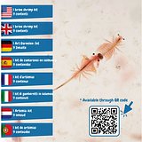 Lernspiel lieferung inklusive einer kraftpapiertasche (90 g/m²) Oleen