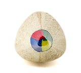 Bleistift Masperi | Regenbogenmine