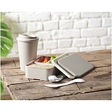 POP 700 ml einschichtige Lunchbox - Chanst