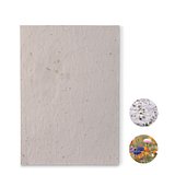 DIN A5 Wildblumen-Samenpapier Olfencha