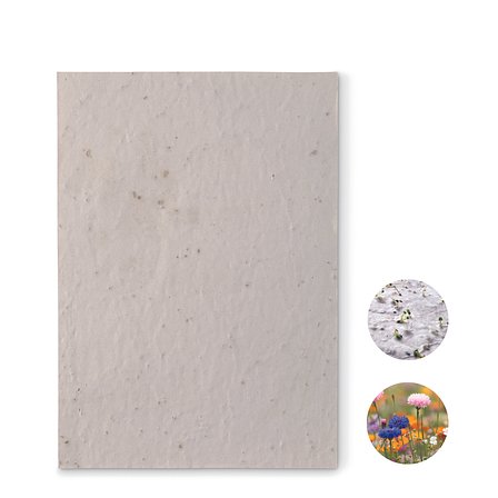 DIN A5 Wildblumen-Samenpapier Olfencha