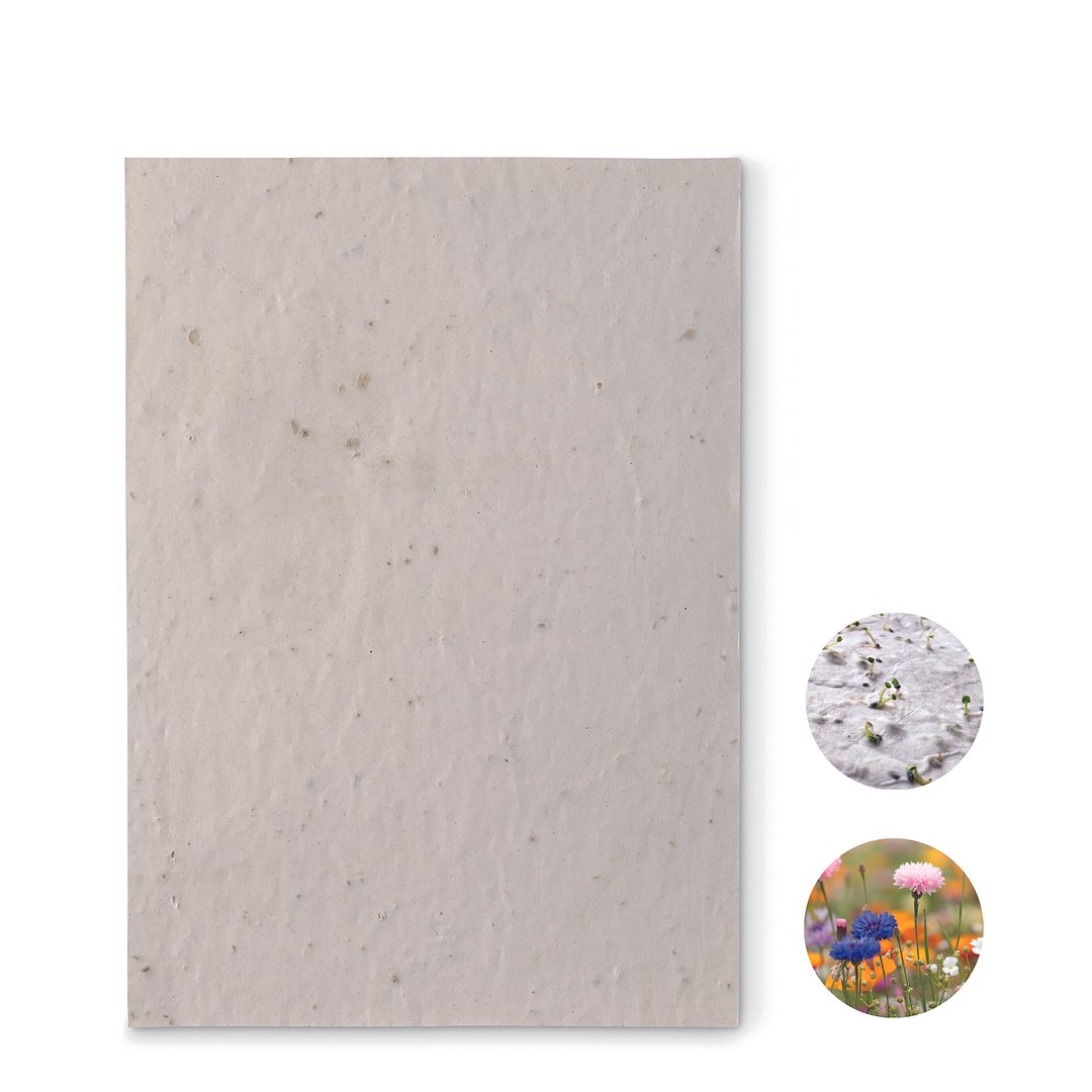 DIN A5 Wildblumen-Samenpapier Olfencha
