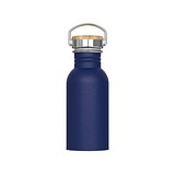 Wasserflasche Ashton 500ml Giuseht