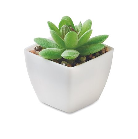 Mini-Kunstpflanze Ciaminath